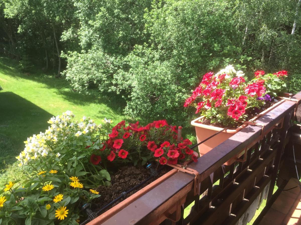 Ferienwohnung Kuckuck Auf Dem Sommerberg Incl Schwarzwaldcard Plus - 2 Zimmer 50Qm Bad Wildbad Exterior photo